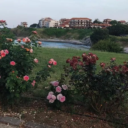 Family Mimosa מלון